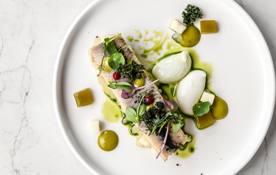 ertat_beit_israel-3298_resized_1 4 (2)