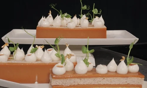 הקמפוס הקולינרי קורסי דיגיטל 6